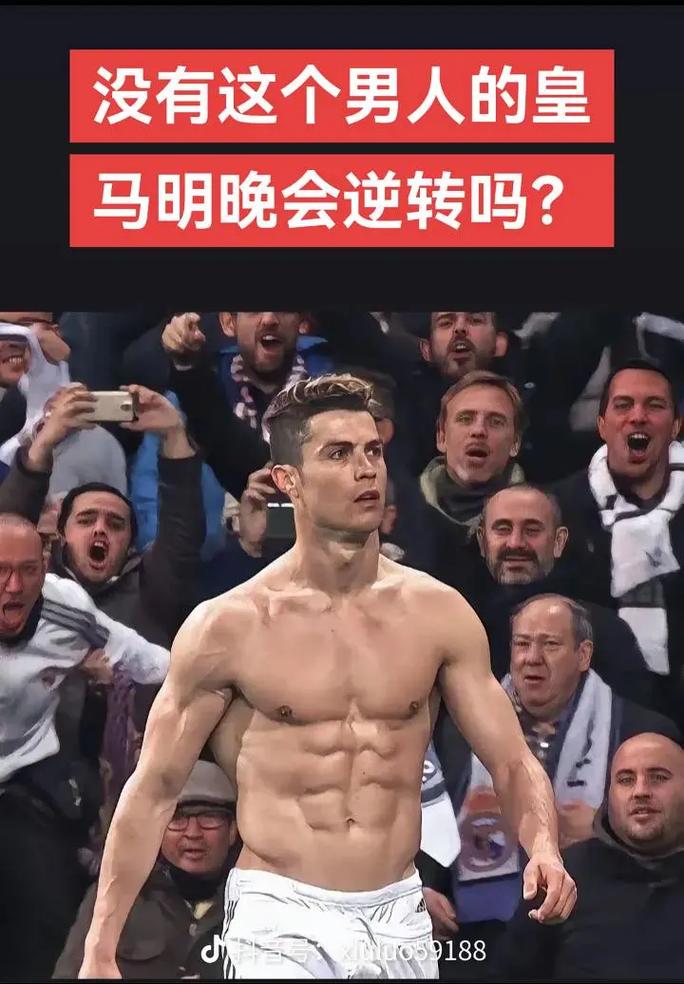 至第三条小
